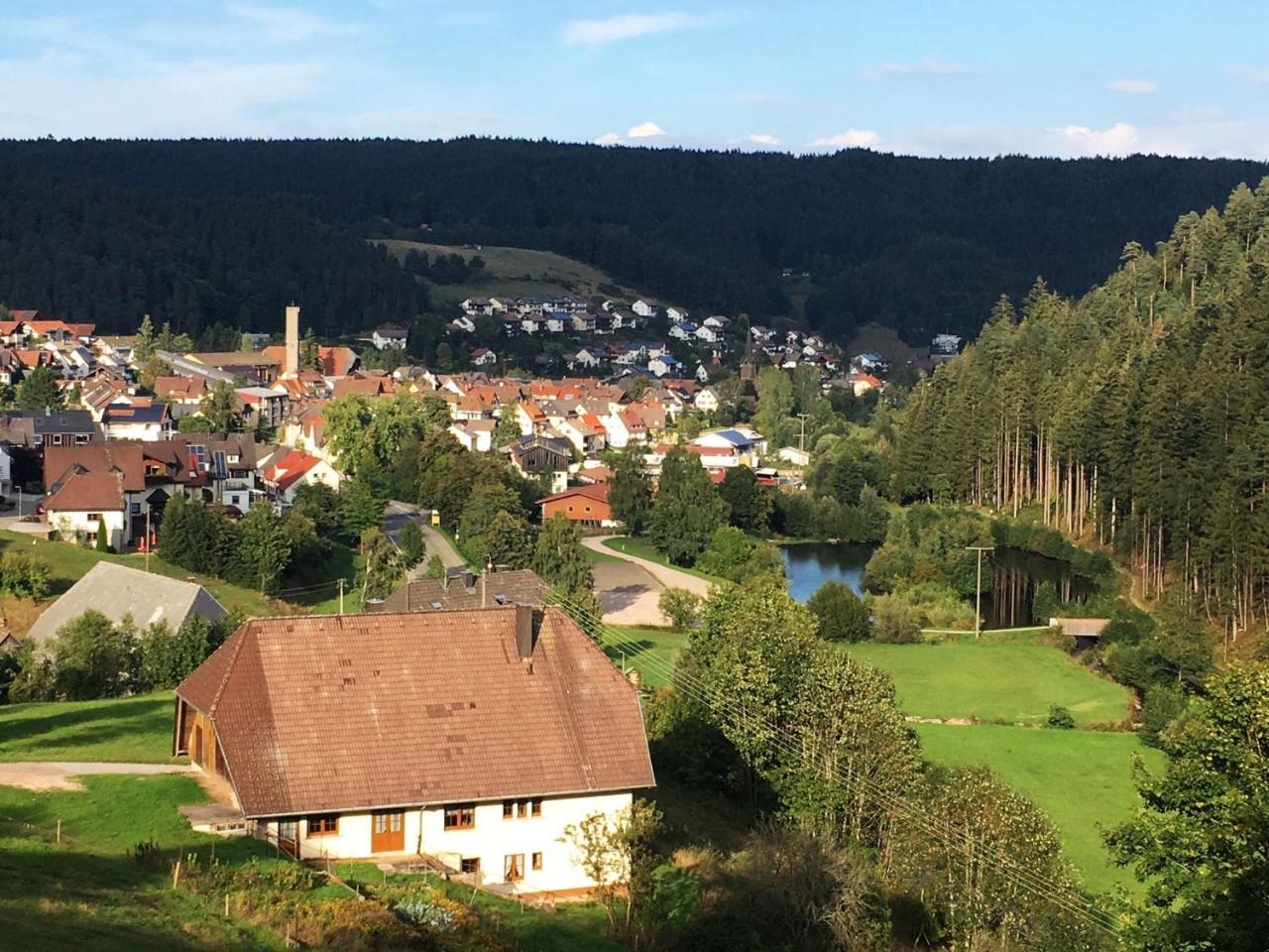 Schwarzwaldgasthaus Linde Schramberg Zewnętrze zdjęcie