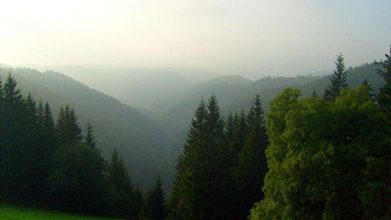 Schwarzwaldgasthaus Linde Schramberg Zewnętrze zdjęcie