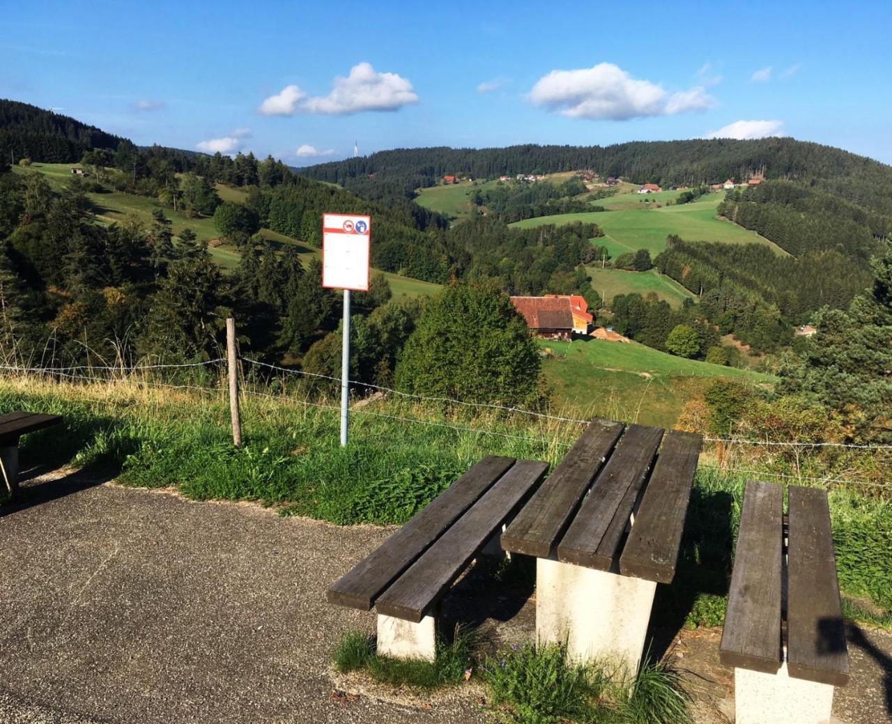 Schwarzwaldgasthaus Linde Schramberg Zewnętrze zdjęcie